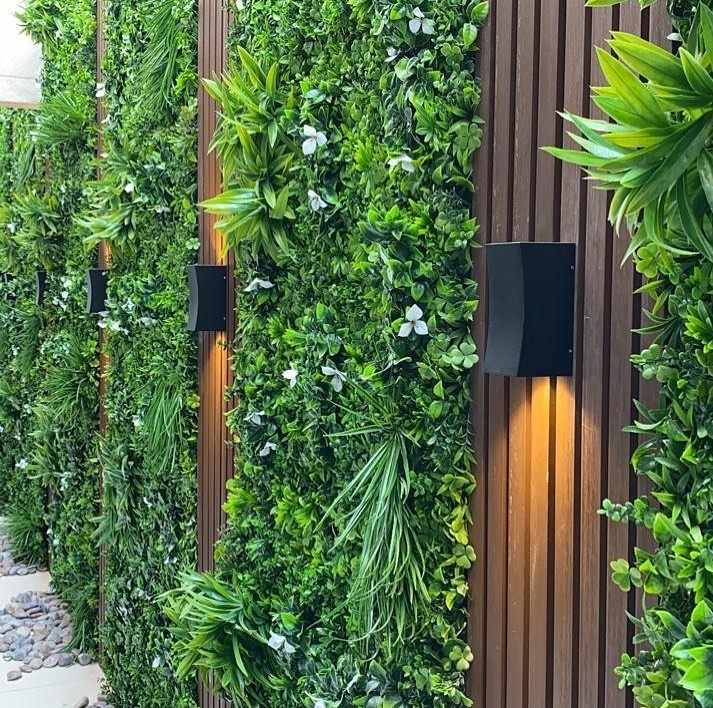 العشب الجداري