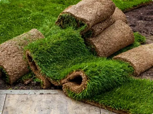 الثيل الطبيعي