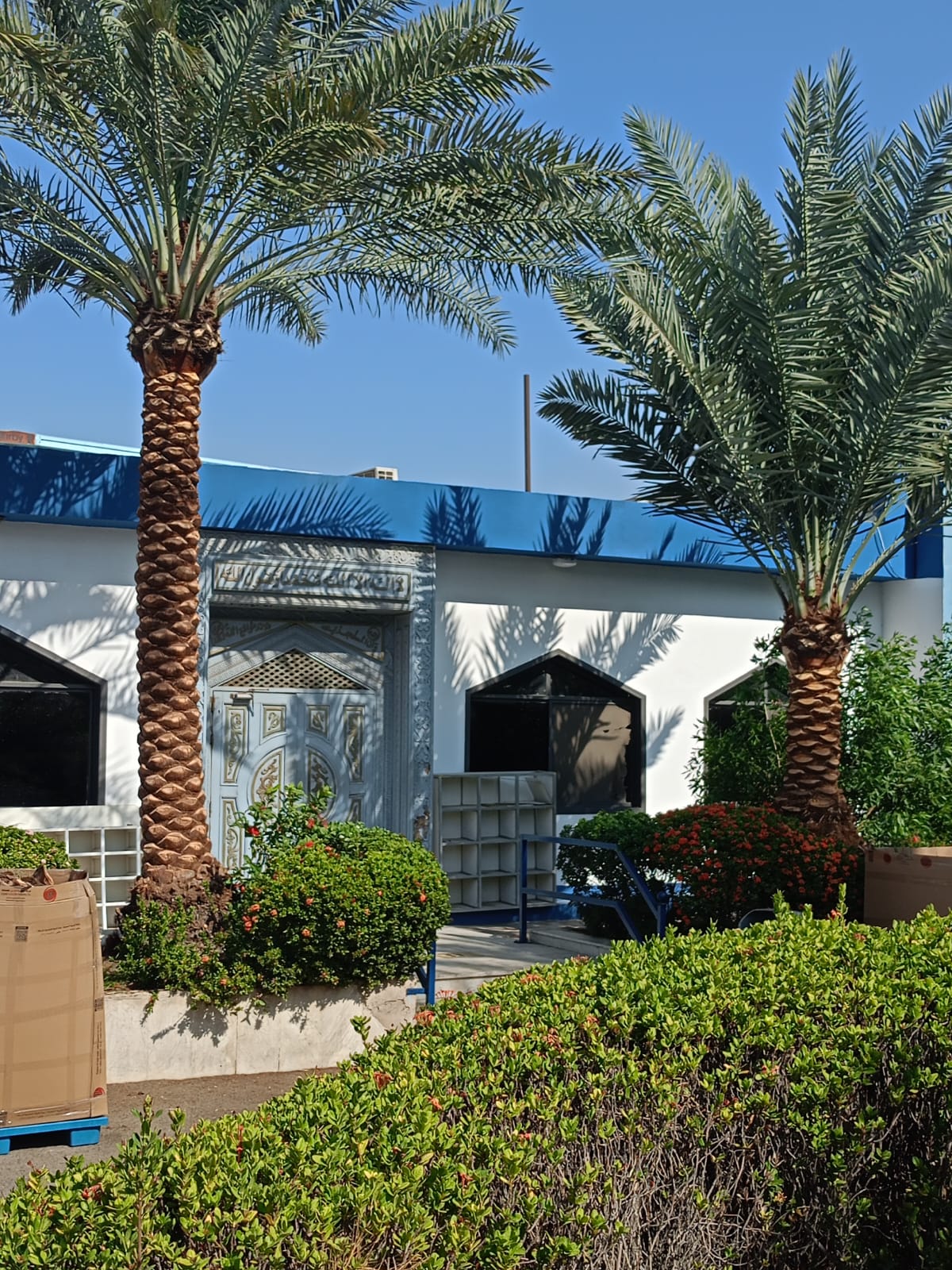 قص الاشجار وتكريب النخيل